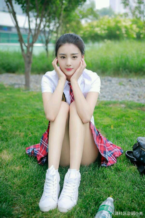 当老鹰翱翔多伦多，切特数据全面爆炸之夜