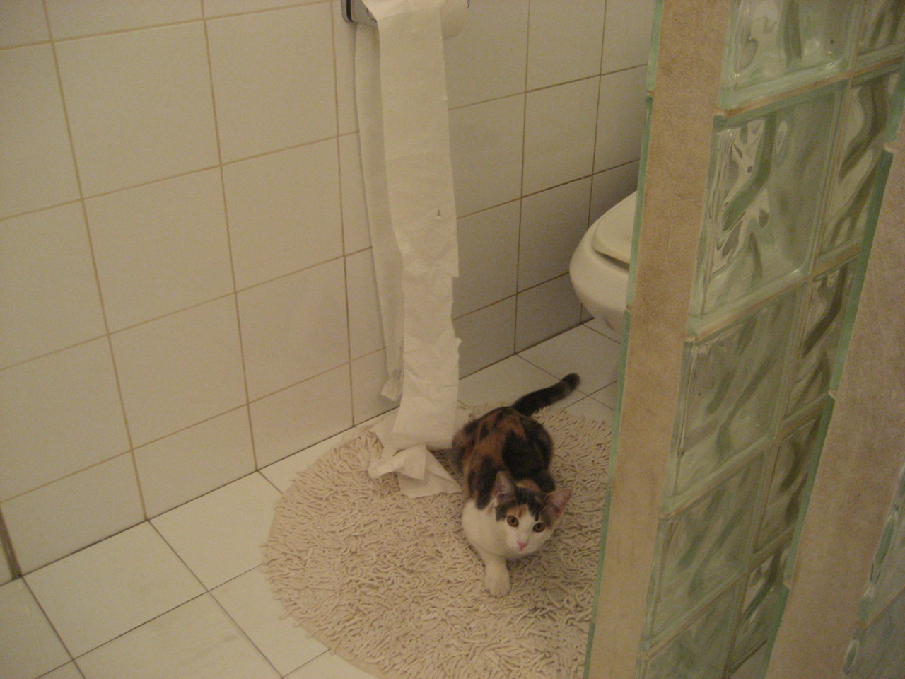 足球新大陆与中场心脏，贝蒂斯美国突围与厄德高英超争冠的双重变奏