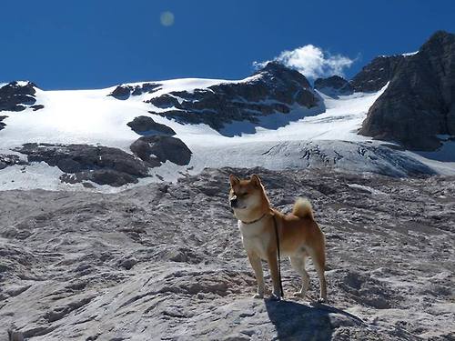 卡拉斯科的关键节点，雷恩对阵哥伦比亚的连续得分盛宴