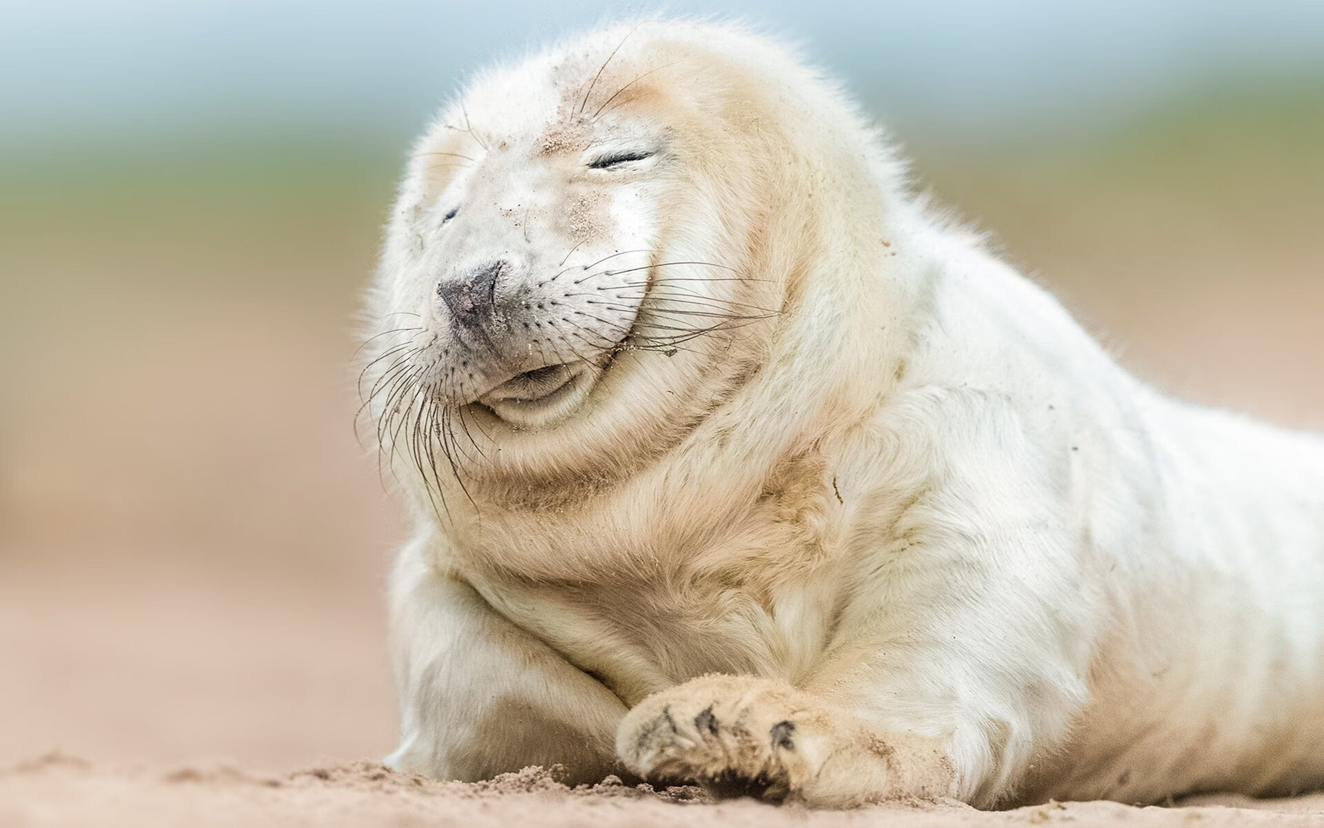 唯一性的瞬间，巴斯托尼爆发与希腊最后时刻击败波兰