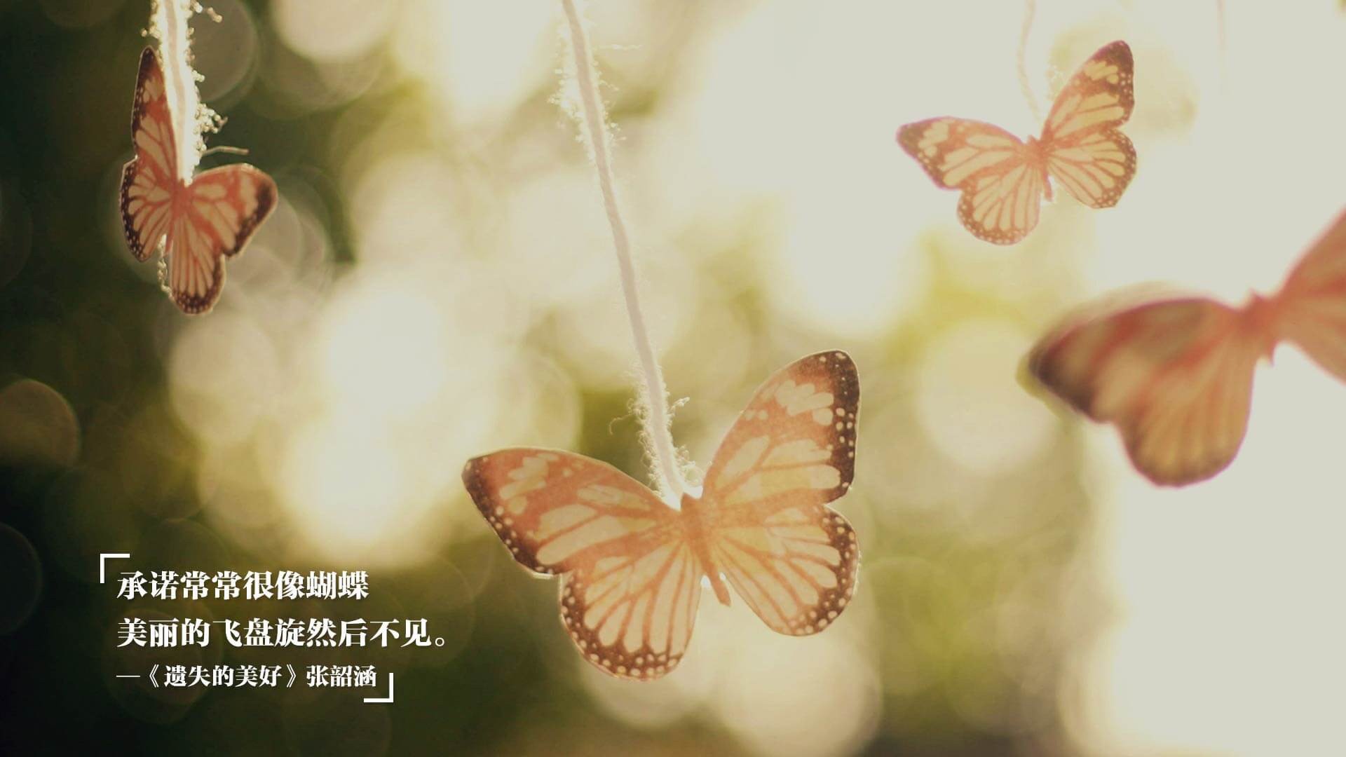 玫瑰之国的致命狂想曲,当保加利亚的坚韧击碎东瀛的精密,费利克斯一剑封喉