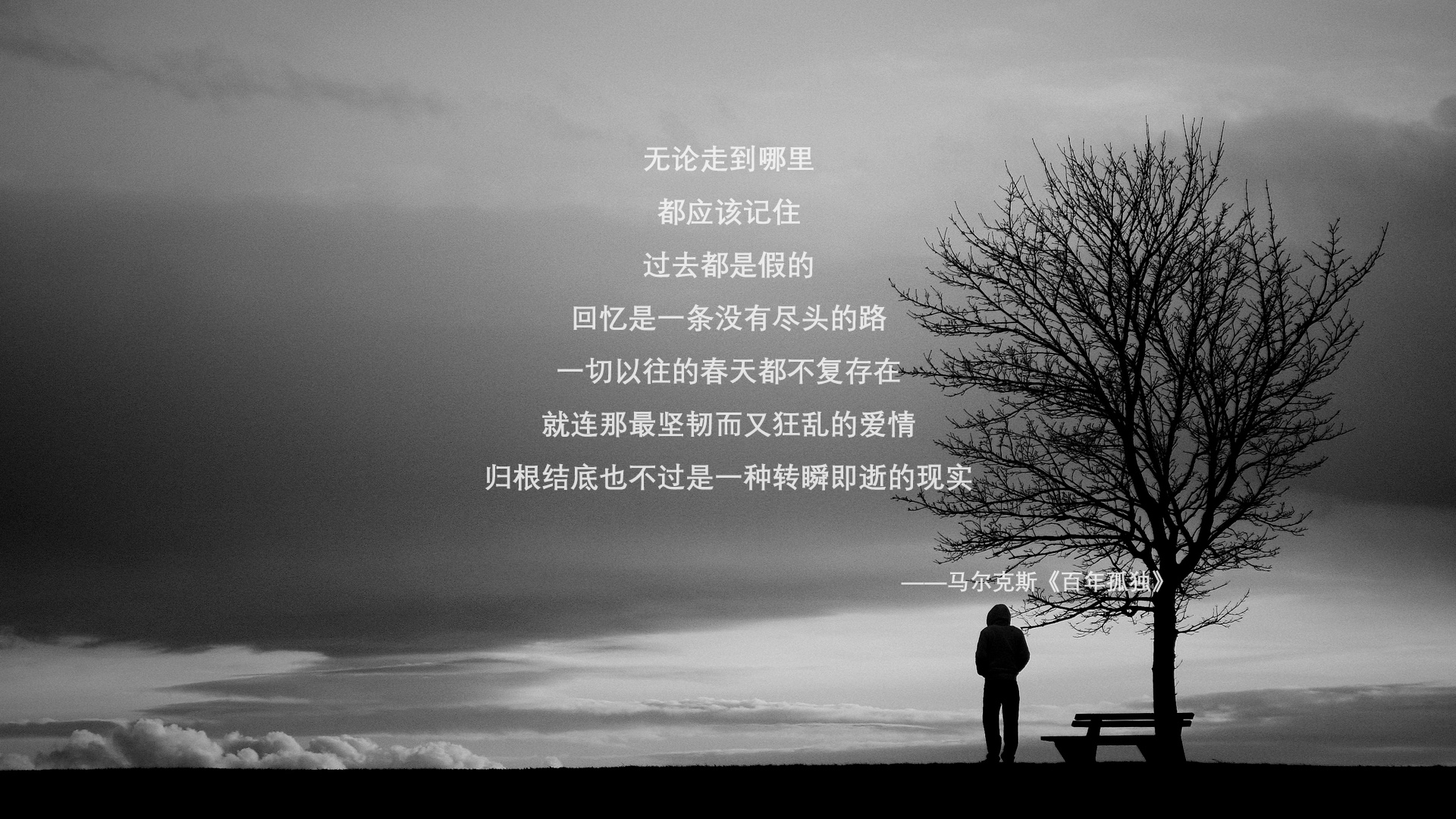 星条旗的逆旅，2026，德容的沉默风暴与喀麦隆的黄昏