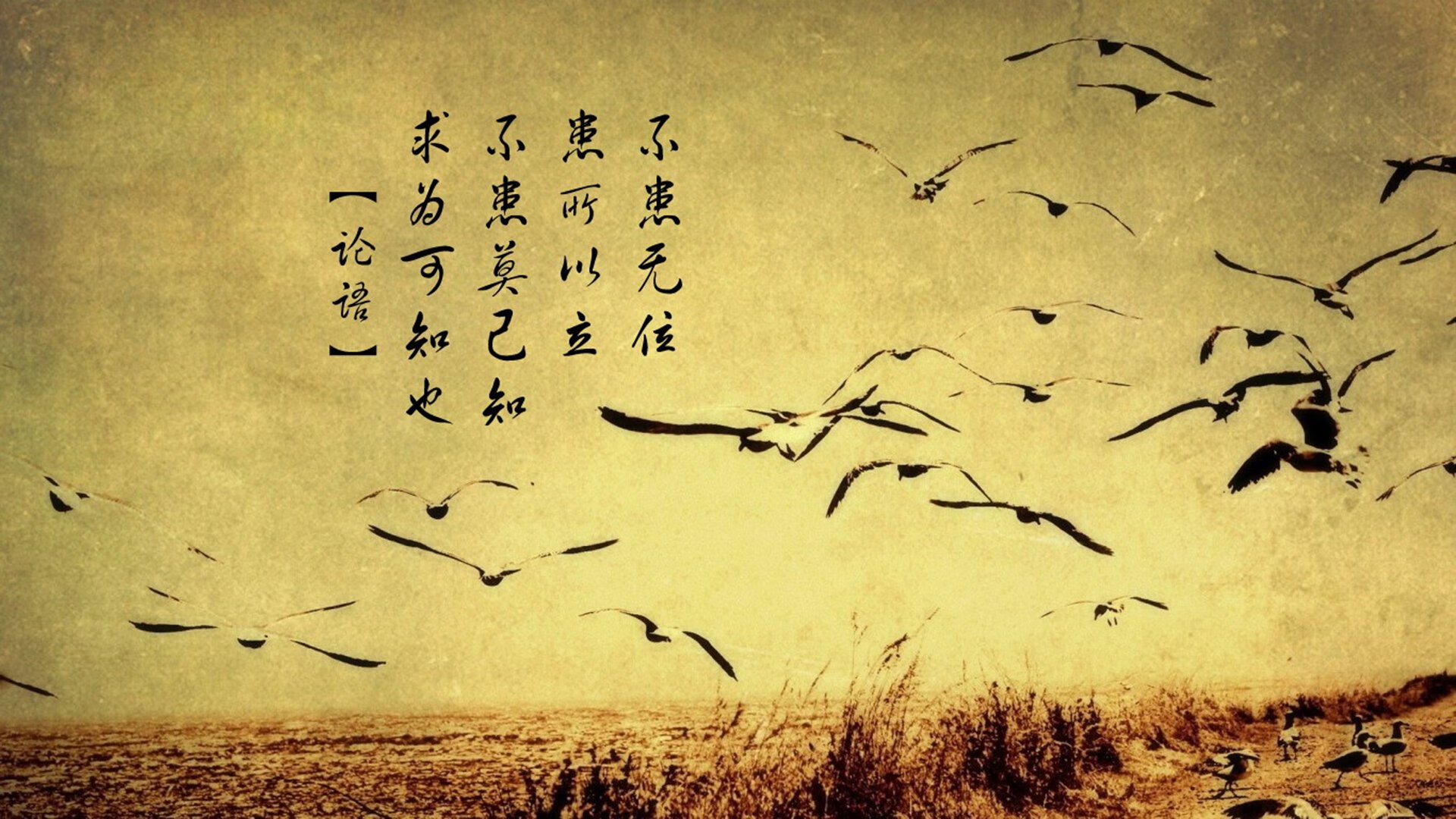 绝境中的绿茵英雄，德容用30秒改写G组命运，德国队压哨绝杀厄瓜多尔