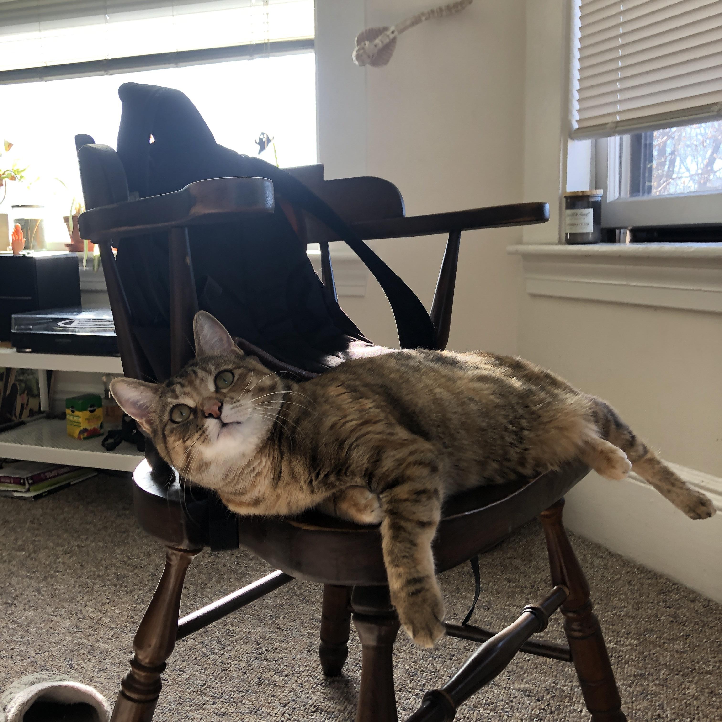 太极虎的猎杀时刻，2026世界杯H组，韩国用最极致的防守反击，让意大利的文艺复兴戛然而止